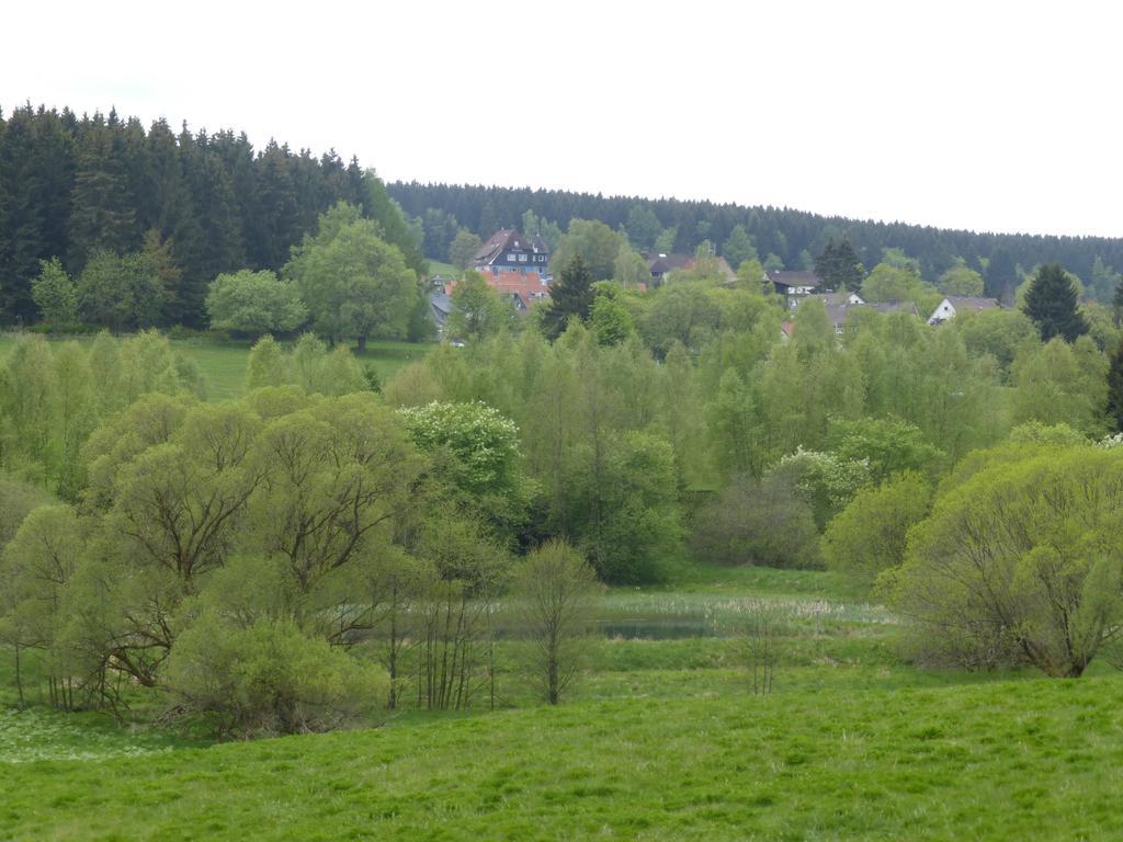 Guest house Gaestehaus Harzglueck Braunlage